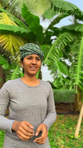 Future Nature on Instagram: "Coconut farms are very suitable for beekeeping 🐝"