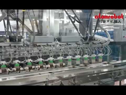 2-Axis Robot Rapid Pick | High-Speed Single-Item Grabbing System