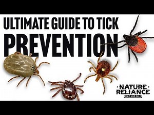 Ultimate Guide to Tick Prevention: Tips and Expert Advice