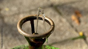 drinking water provided by a public water supply. public service for thirsty people. detail. 4k video.