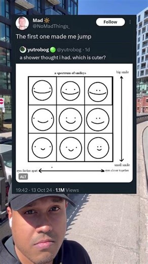 Spectrum of Smileys Chart Small to Big Smile 😊 #SmileyChart #Wholesome