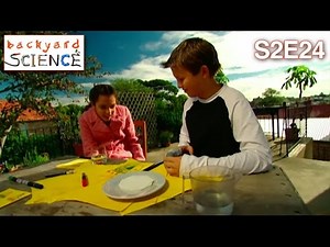 Backyard Science | S2E24 | Create a kaleidoscope of colour