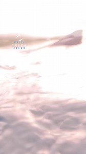 Big Great White Swimming Into The Current With Dorsal Out Of The Water | White Shark Ocean
