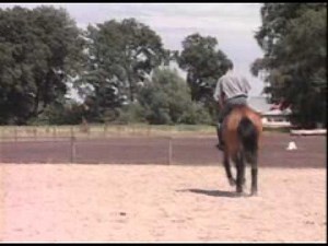 FN-Lehrfilm DVD Teil 6/2: Springreiten für Fortgeschrittene/ Show Jumping for Advanced Riders