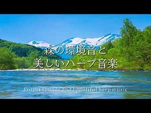 Relaxing atmosphere 😌 Beautiful harp music to relax 😌 Calming harp instrumental