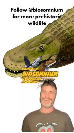 Creatures of Biosomnium | Read below for the answer. Follow @biosomnium for more wildlife trivia from the past and present! . . . . . . . . . This is... | Instagram