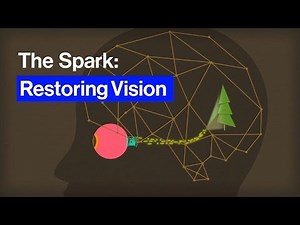 The Technology That Could Make Blind People See Again