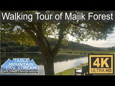 Walking Tour of Majik Forest, Durbanville