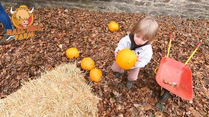 HALLOWEEN half term is nearly here!! Mini monster maze Pumpkin patch Pumpkin carving Skeleton slingshot Spooky spider barrel ride Giant scarecrows Trick or treat treasure hunt Ghostbusters school Scarecrow making Haunted sheep race Mysterious jeep safari. | Hall Hill Farm