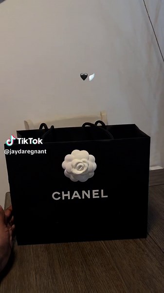 Chanel Fall 2024 Collection Unveiled: Handbag Showcase