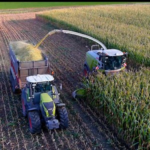 5.6K views · 259 reactions | Large scale corn harvesting with these big machine is an easier way to harvest in today's world | Big Machines | Facebook