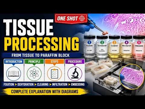 Tissue Processing One Shot | Introduction, Principle, Steps & Proceduret