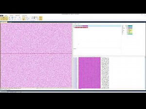 Rusolut Platform (VNR) - Import Flash Extractor Sector Geometry into a VNR Structure