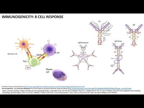 Immunogenicity causing Antidrug Antibodies: How, Why, Which cells, What and When?