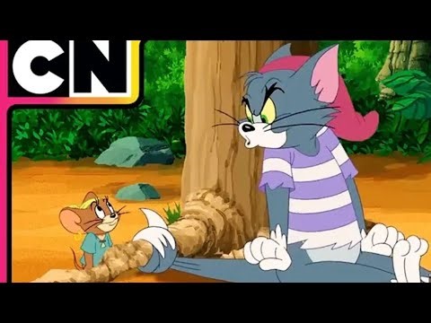 Tom and Jerry | The Never EndingChase! | Cat and The Mouse |Best:Cartoon Network