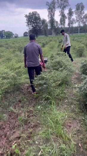 Power weeder machine #familychannel