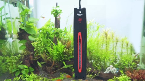fishkeeper 300W/500W/800W Adjustable Submersible Aquarium Heater - PID Electronic Smart Thermostat Fish Tank Heater with Out-of-Water/Run-Dry/Overheat/Low-Temp Protection for 40-220 Gal Fish Tanks