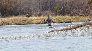 46K views · 632 reactions | When was the last time you fished the Ark? Buena Vista & Salida Colorado offer unique spring fishing on the Arkansas River. | Now This is Colorado | Facebook