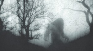 What Bigfoot Teaches Us About Public Mistrust of Science