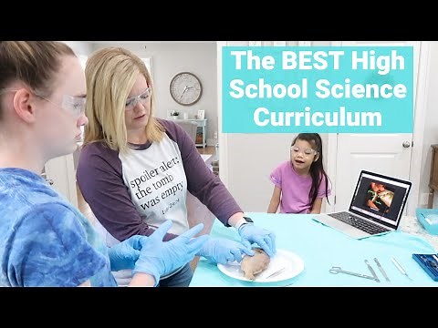 Homeschool Curriculum for High School Science | Shormann DIVE Biology Review | Our Blessed Life