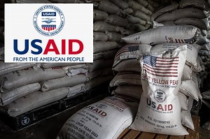 USAID official pleads guilty to taking part in $550M bribery scheme: ‘Violated the public trust’