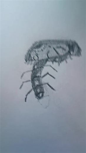 my creepy drawings