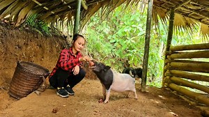 Farm Life, My Daily Work on The Farm Survival Instinct, Wilderness Alone | Single Mom