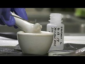 Fish Tissue - Bio Punch Sub-Sampling