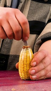 Turning Corn 🌽 into a Bottle Opener | Humour Train