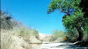 China Ranch Heading Back - video Dailymotion