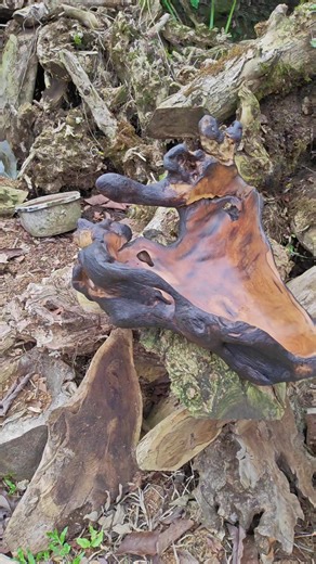 Frutero Rústico: Creando Arte en Madera