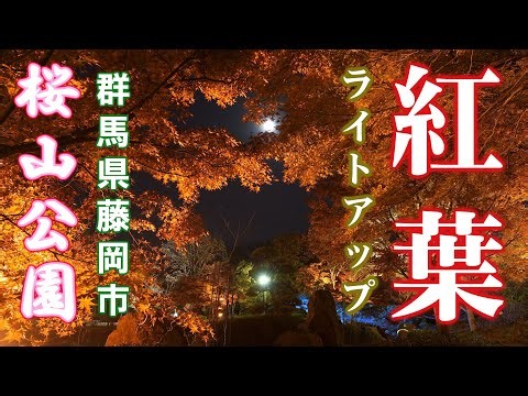 【外配信IRL】桜山公園ライトアップ