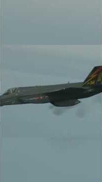 On March 12, 2021, a U.S. Marine F-35B shot itself down in mid-flight.