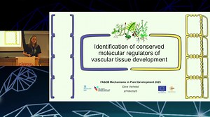 Conserved molecular regulators of vascular tissue development | FASEB Conferences On-Demand