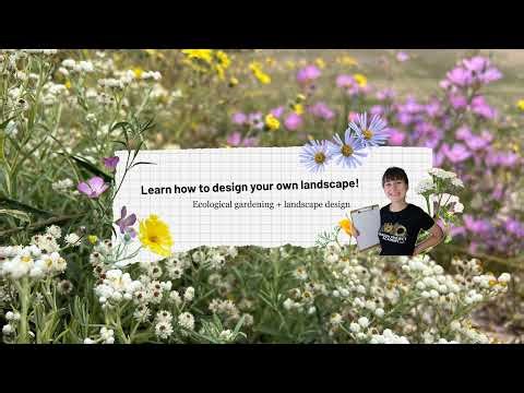 The cost of waiting: Start planning your landscaping project now for spring success 🪴