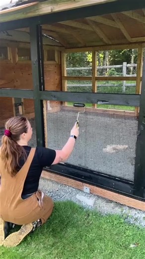 神奇视觉魔术：刷黑漆让铁丝网消失