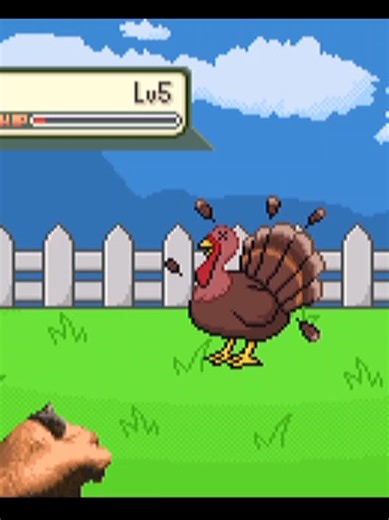 Catch Pokémon with Bare Hands: Thanksgiving Challenge