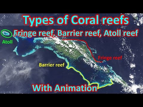 Types of coral reefs: Fringe reef, Barrier reef, Atoll reef | UPSC (CSE)