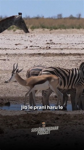 Do All Humans Have Same Ancestors? | Sushant Pradhan Podcast Full Podcast: https://youtu.be/aG3_WaMqkmU | Sushant Pradhan