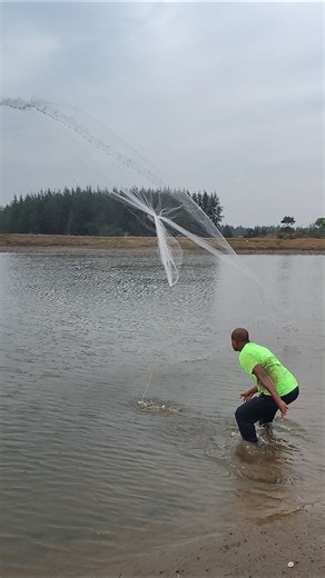 new styles net fishing short viral video beautiful village #pringruralfisherman #fishinglife