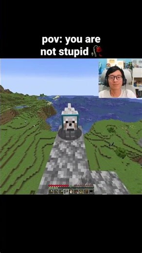 Minecraft Stupid Moment