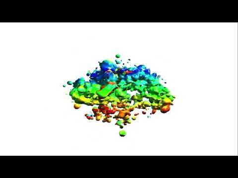 EAI Interactive (1999)