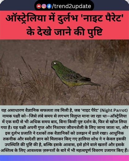 "Extinct for 100 Years? Night Parrot SHOCKINGLY Rediscovered in Australia!"