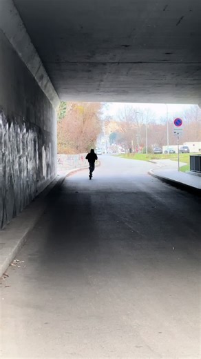 Jack Purcell Proel Overview