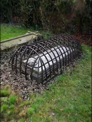 Exploring Unexplained Mysteries with Groovy Gavin