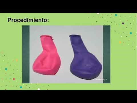 Ciencias 4to N°2, sistema locomotor