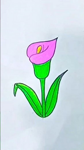 flower drawing with colored pencil // how to draw flower for beginners // flower drawing easy