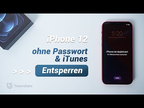 iPhone 12 ohne Passwort & iTunes Entsperren [2025]
