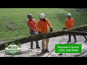 Hillview Tree Service & Property Maintenance | Naugatuck, CT