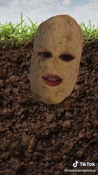 Exploring Korean Club Culture: Clubs VS Nightclubs in Korea